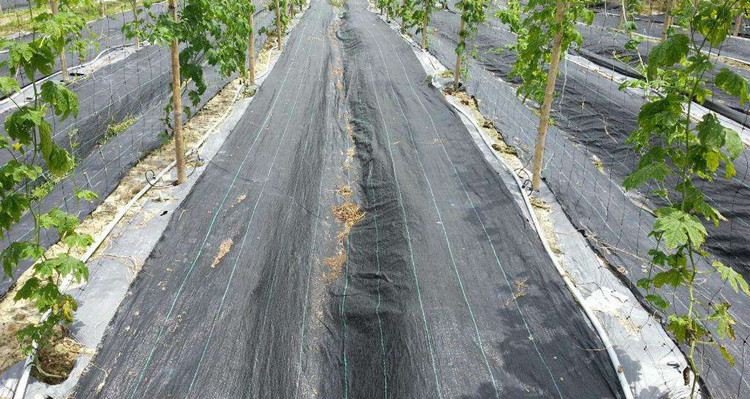 园艺除草布 果园防草布 园艺防草地布 防草布生产厂家