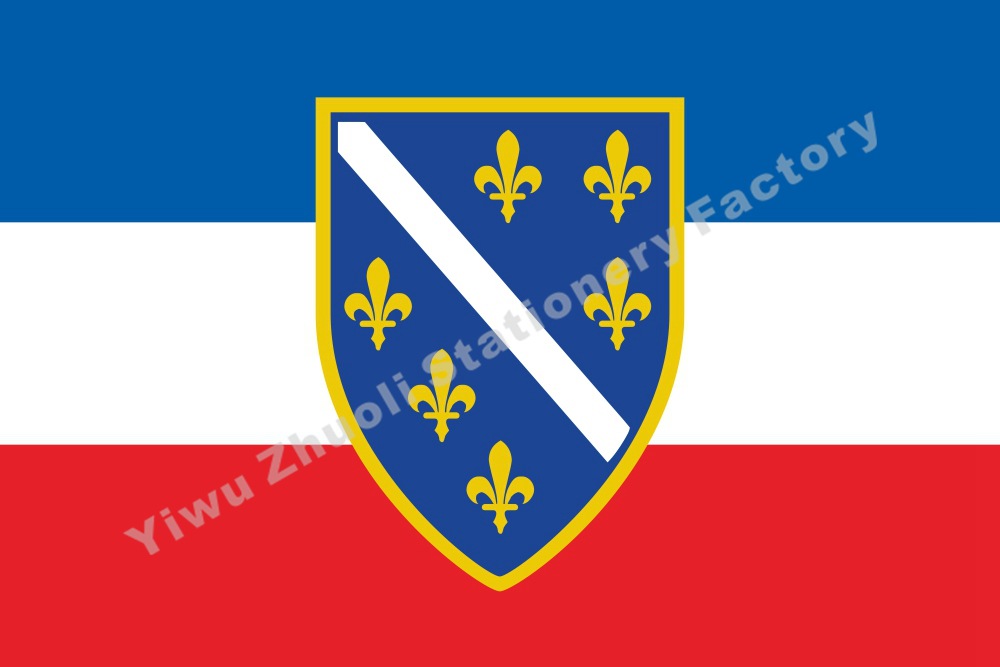 尼加拉瓜选举旗90*150cm可选择多尺寸印制竞选旗广告装饰旗帜批发