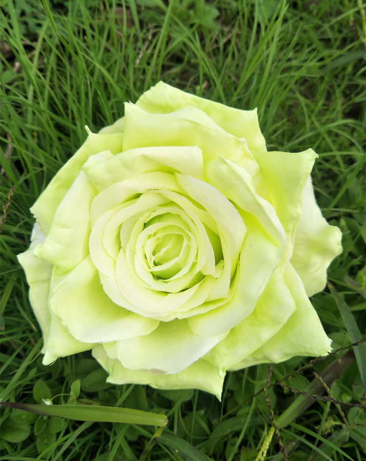 大玫瑰花头绢布 仿真婚庆花头 绢花 婚庆婚礼花墙布置 外贸