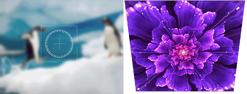 790_302gif 动态图 动图