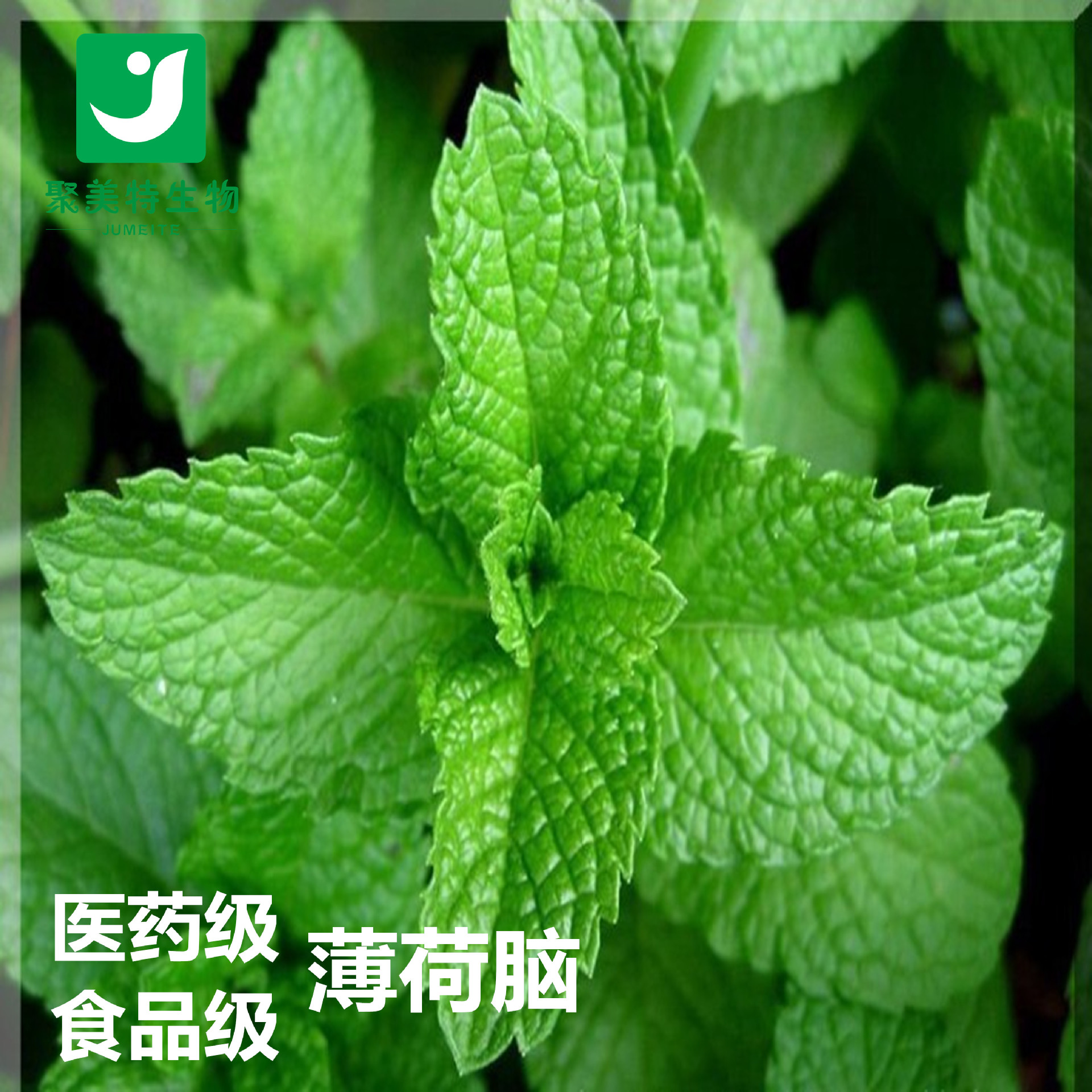 大量供应 白熊牌食品级 薄荷脑 薄荷醇 薄荷冰 龙脑 清凉剂