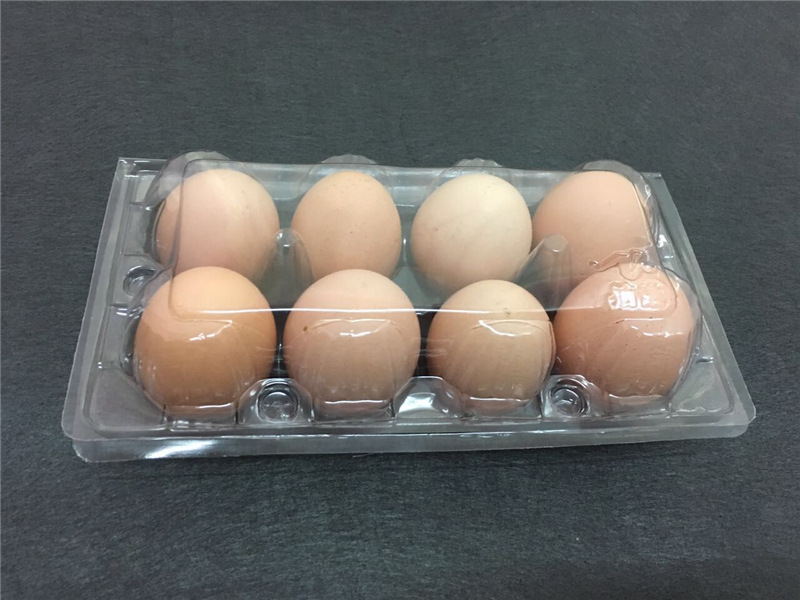 48成交300个12枚鸡蛋盒 十二个透明塑料鸡蛋托 pvc吸塑洋鸡蛋托盒