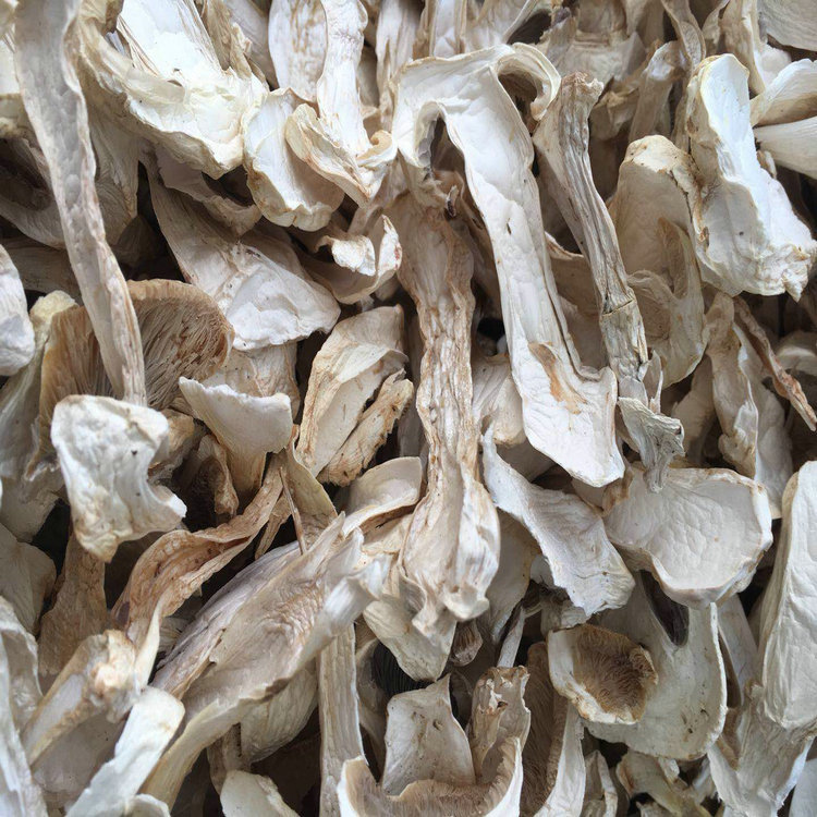 球盖菇干品 大球盖 姬松茸干片 赤松茸 云南特产批发