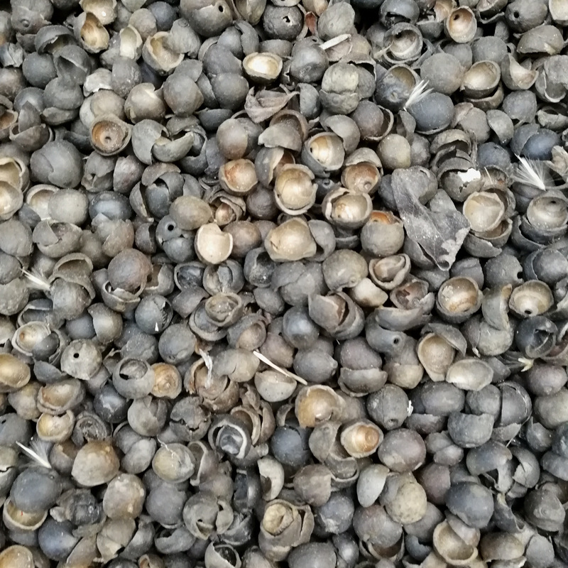 厂家直销热风炉 节能燃烧莲子壳花生壳芡实壳环保生物质热风炉