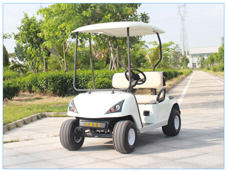 新能源电动汽车二人座 高尔夫球电动车 新能源电动汽车厂家