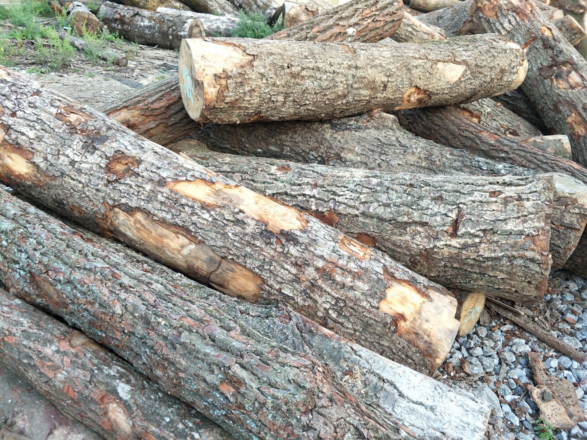 荷木 荷木 木板材 荷木加工荷木板材荷木实木 厂家销售