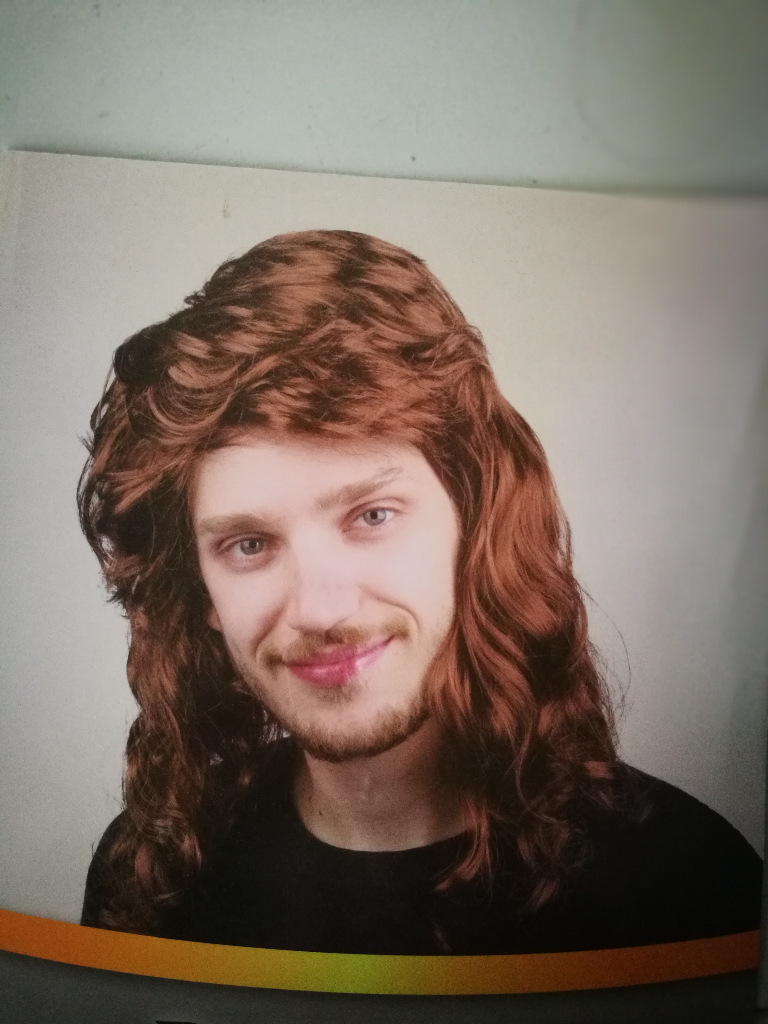 欧美男士棕色短卷发假发头套 男式男生化纤假发玫瑰网 外贸假发厂