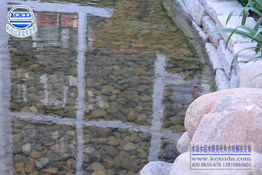锦鲤鱼池过滤系统湖北荆门庭院水池过滤器3天清澈见底免费设计