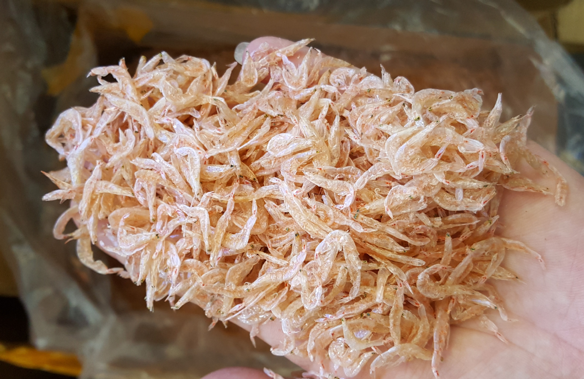 阿里巴巴批发北海大号红虾皮 生晒 淡干 无沙 新晒 海虾皮鲜香