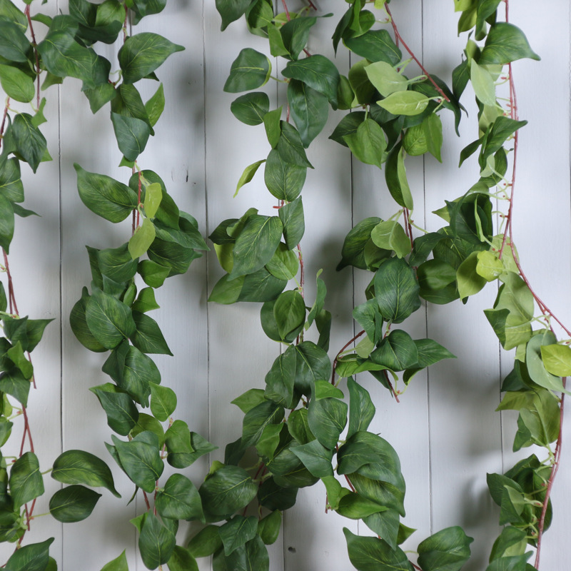 仿真藤条丝印爬山虎绿萝绿叶壁挂 假藤条藤蔓植物 1.8米绿萝藤条