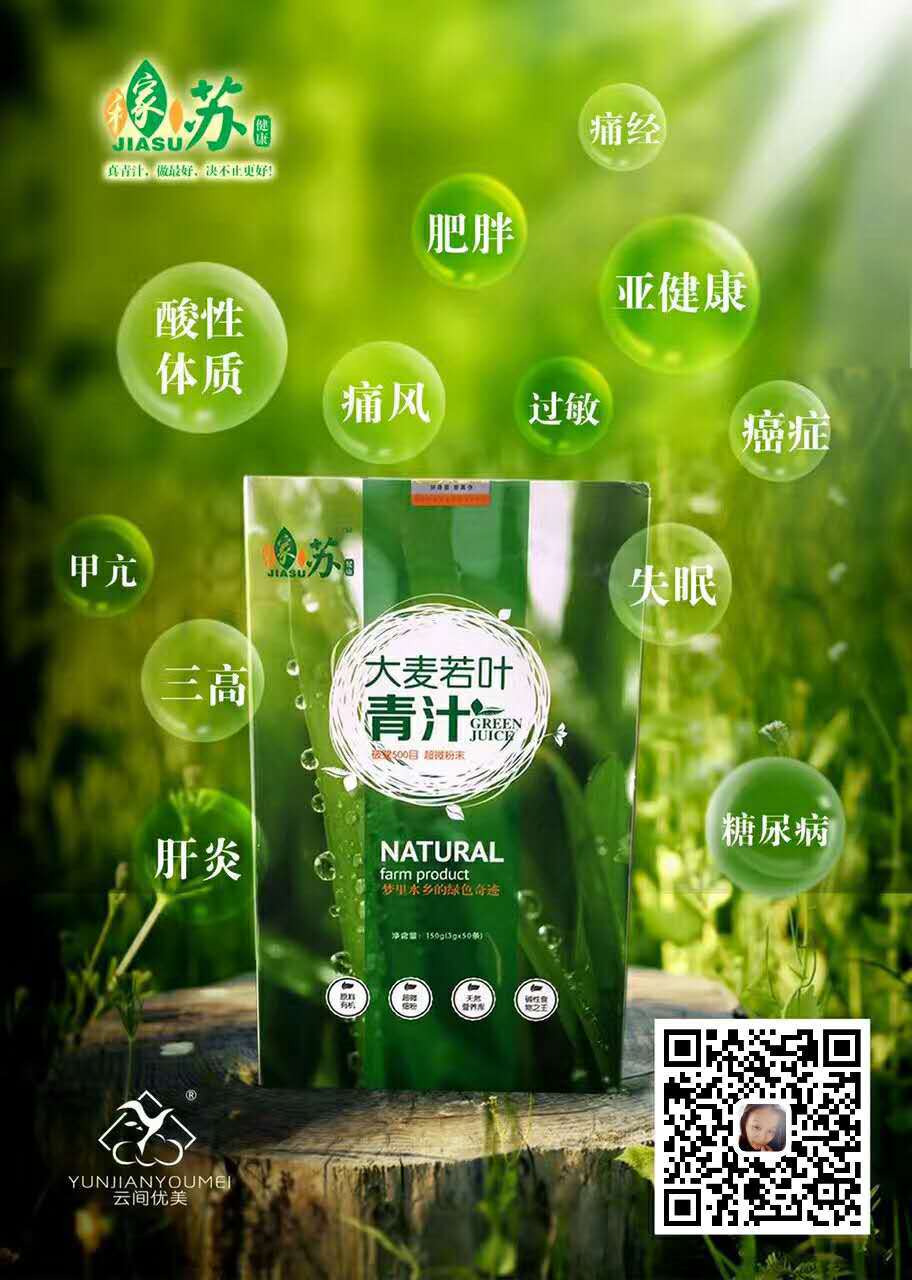 什么是稼苏青汁?它对人体有什么好处?