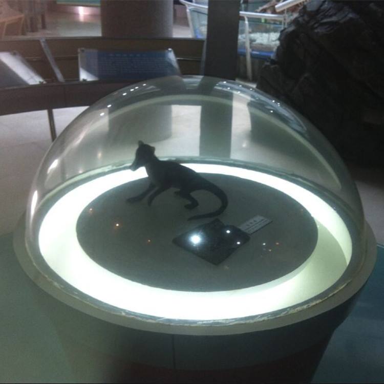 有机玻璃真空罩 深圳厂家飞剑定制 亚克力球 亚克力真空罩