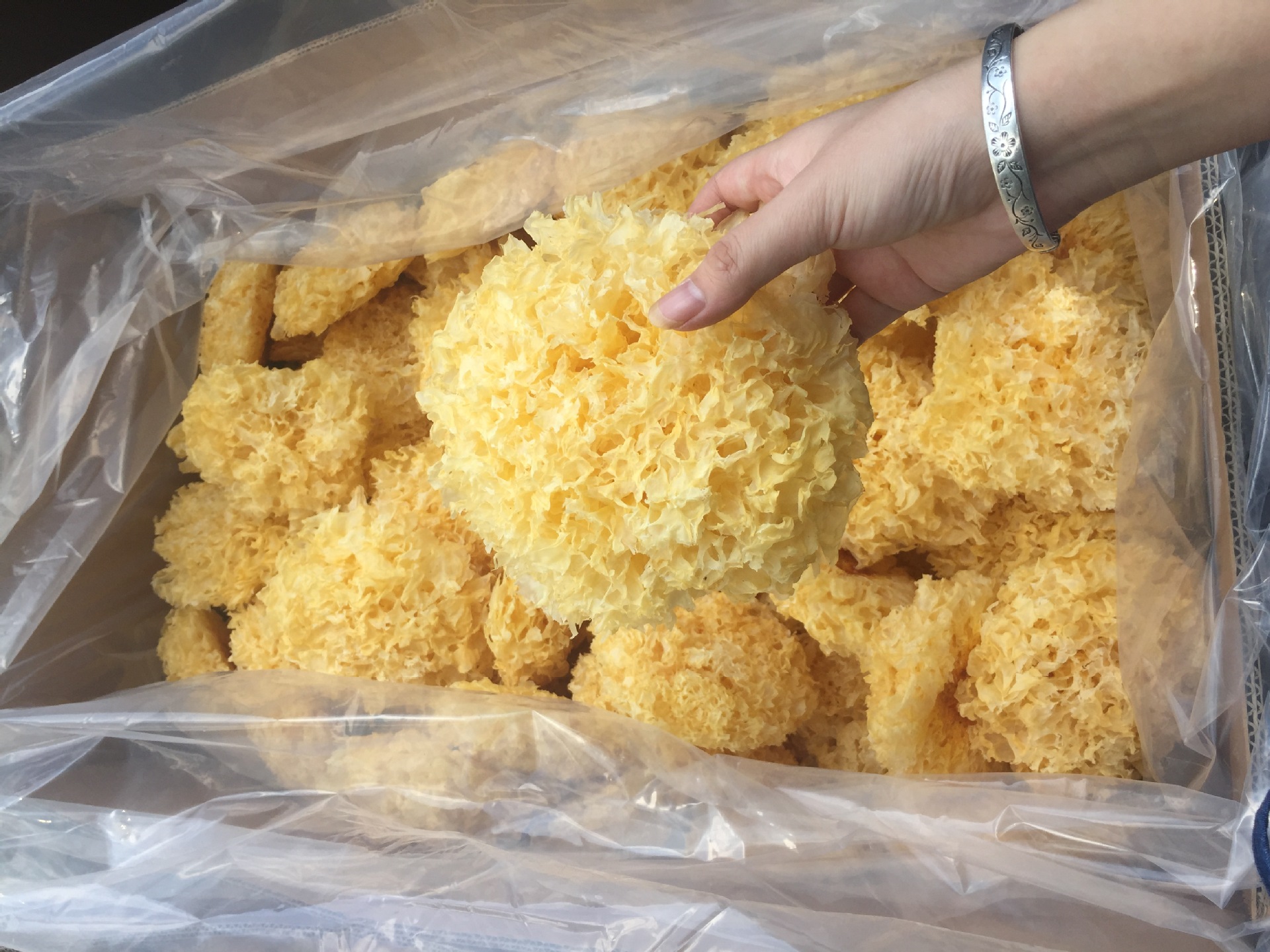 冠耳 本色古田银耳 产地批发无硫银耳 大花白木耳 出口品质 1斤