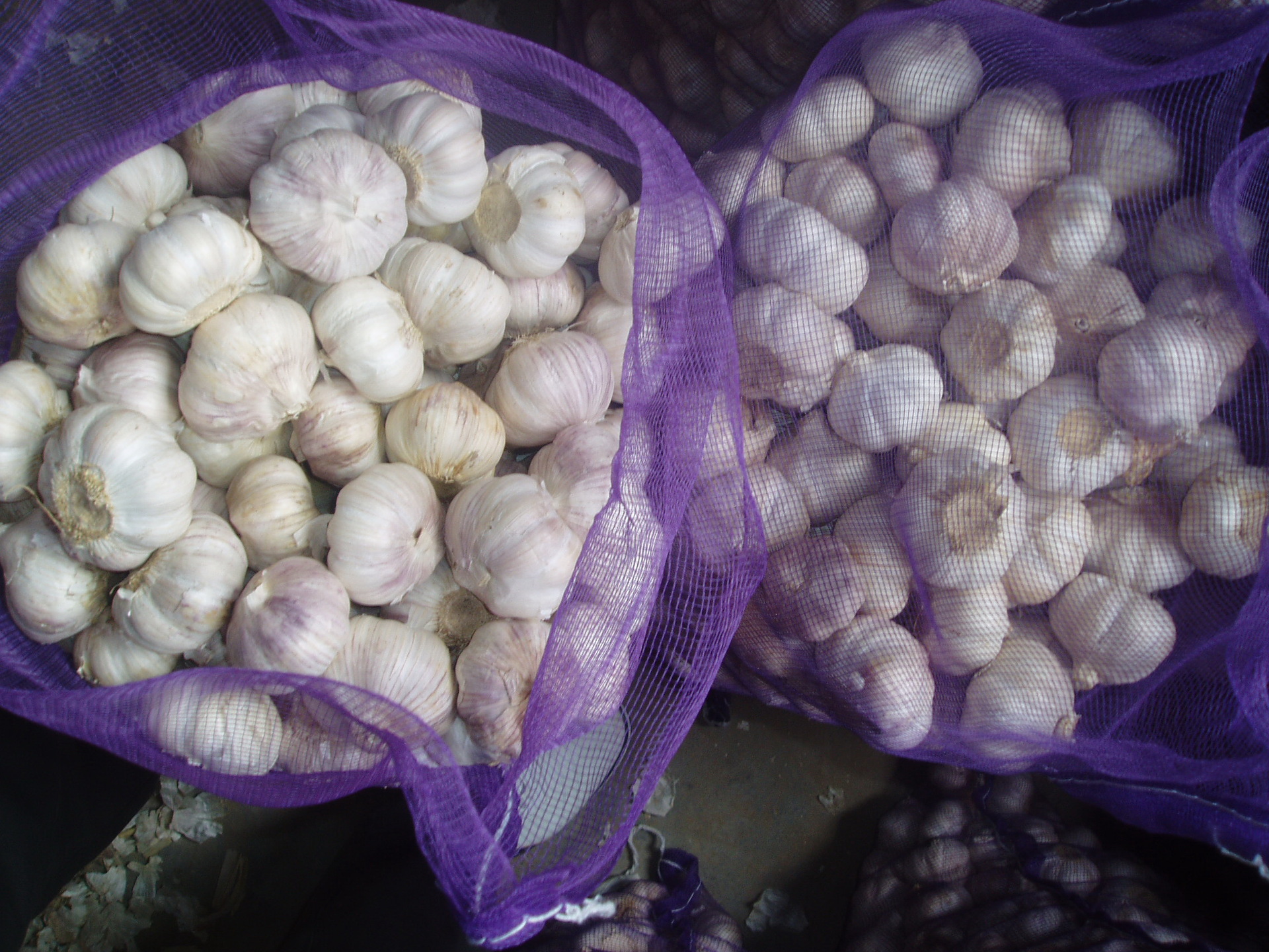 优质出口级大蒜,白蒜红蒜,多种规格包装,可做加工出口的大蒜