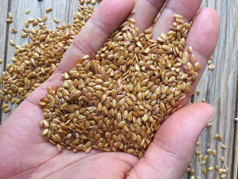 内蒙古纯天然农家特产 脱蜡黄金生亚麻籽胡麻籽胡麻子油原料杂粮
