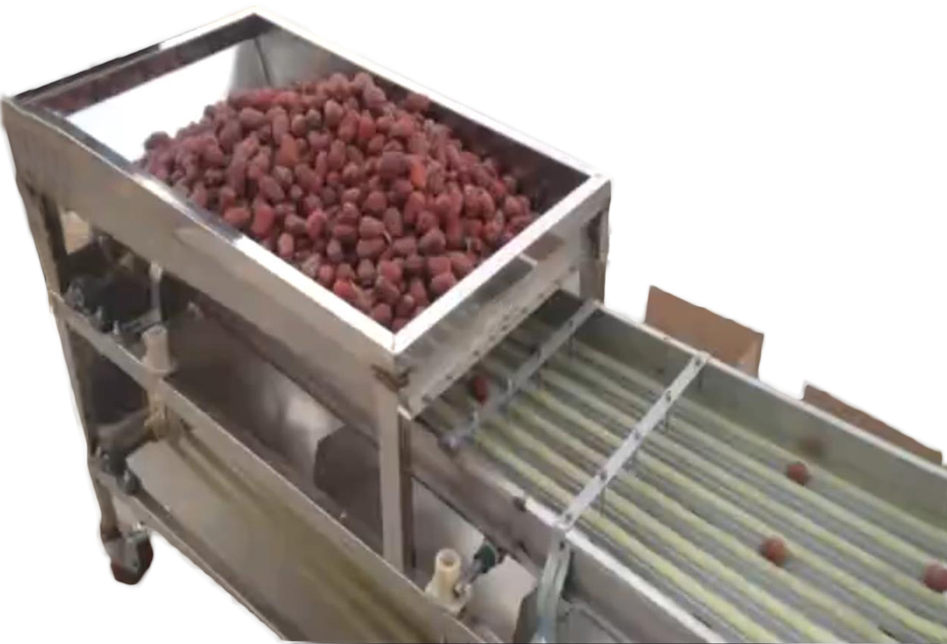 大枣分级机 红枣分级机 筛选机 大枣清洗分级设备