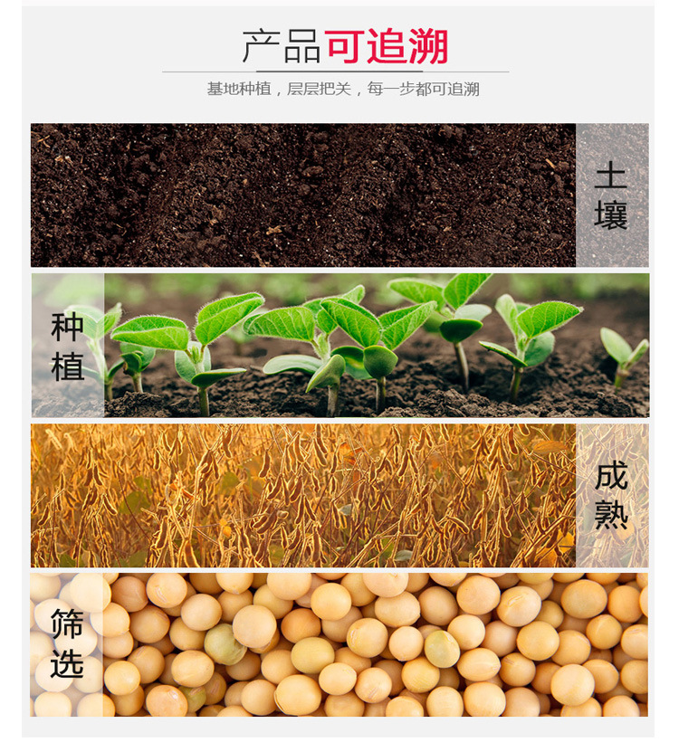 厂家直销 古船 大豆油5l 食用油 一级大豆油 餐饮食堂食.