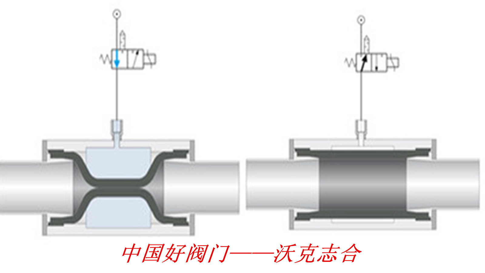 卡箍式不锈钢气动夹管阀,不锈钢卡箍式气动管囊阀,不锈钢气动管夹阀