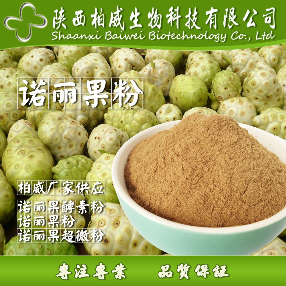 诺丽果粉 诺丽果超微粉 酵素粉 天然原料 柏威厂家现货直销