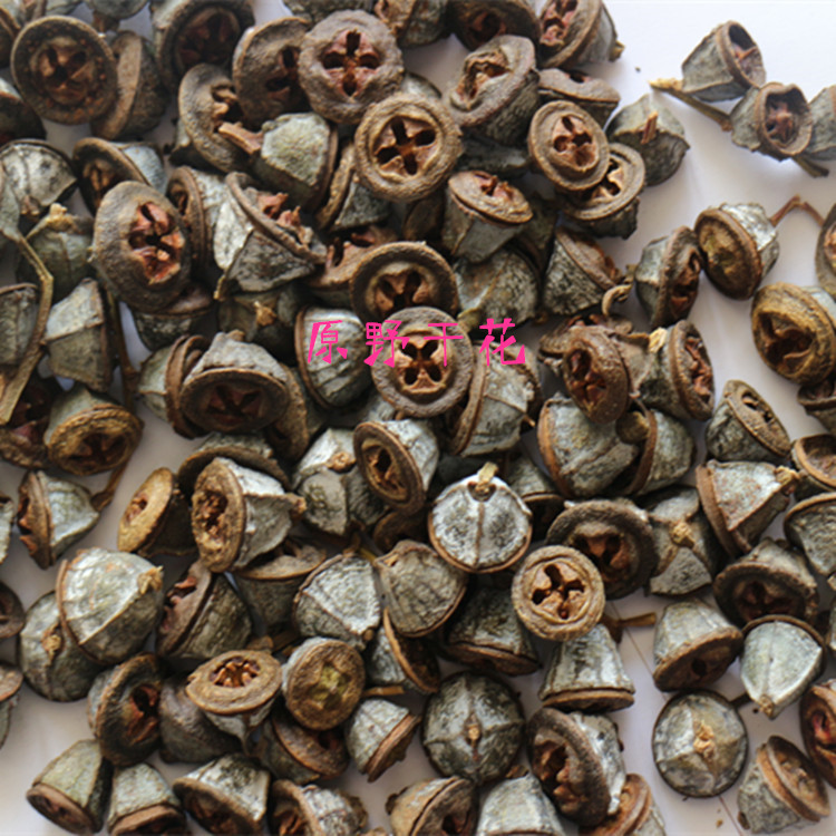 【尤加利果】批发天然干果 家居装饰 蓝桉果 天然干花特价批发