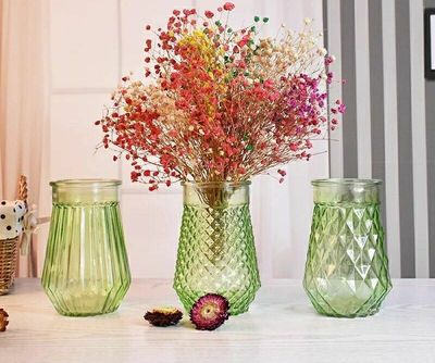 插花玻璃花瓶水培鲜花干花花瓶现代简约客厅百搭摆件透明新款彩色