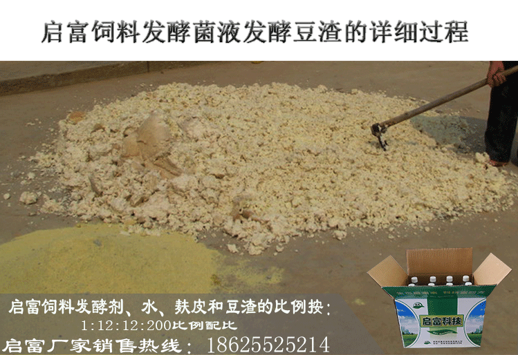 豆渣發(fā)酵