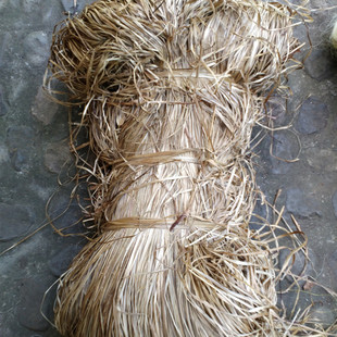 一级墙纸