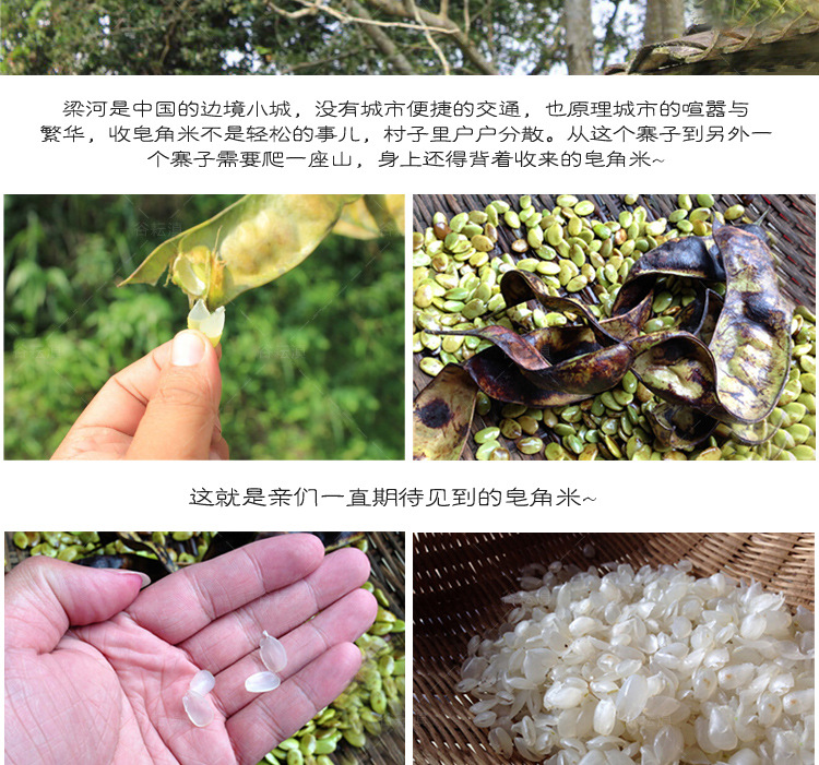皂角米云南野生皂角米电烤双荚雪莲子皂角仁1kg批发代发