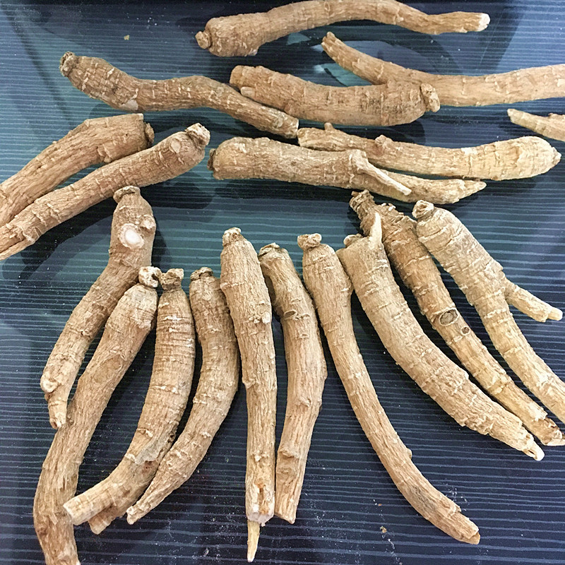 西洋参条 90元一斤起 花旗参 整枝粒头 切片长支参节泡茶