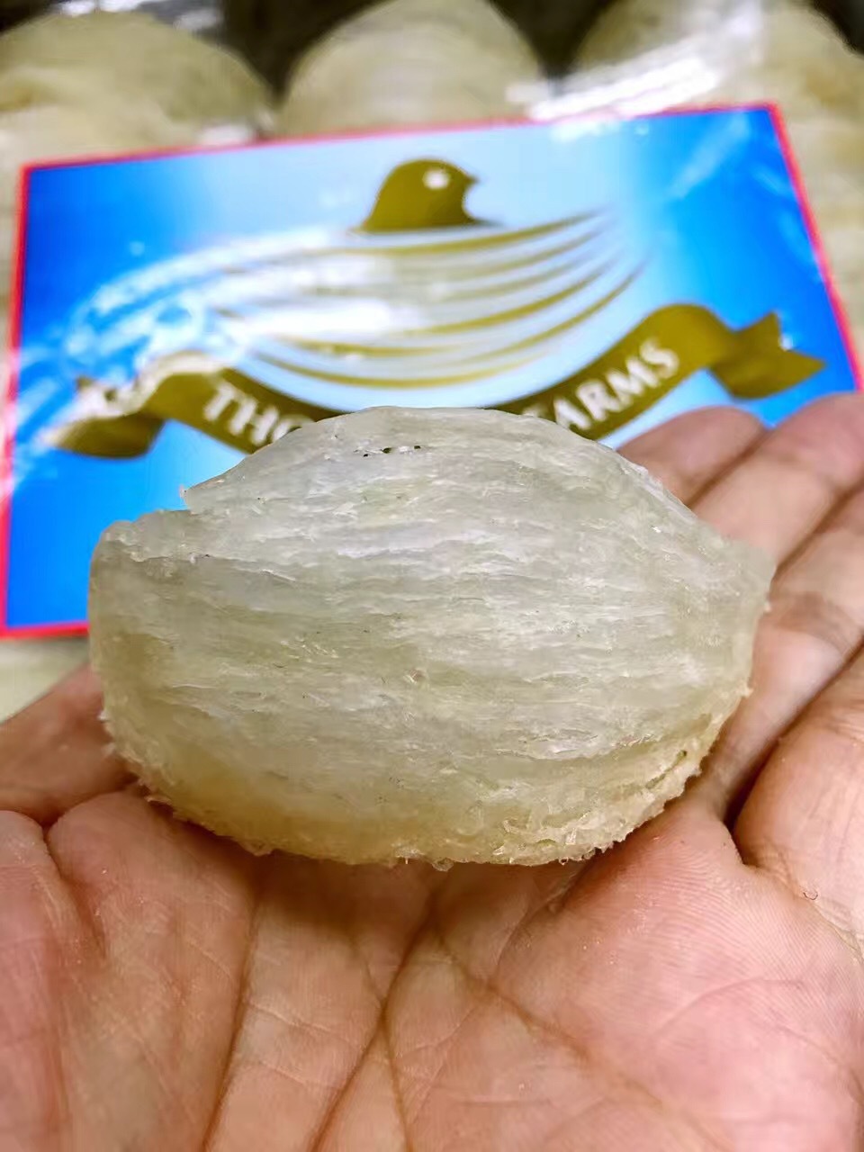 燕窝燕盏 印尼小鸟金丝燕黄燕盏 中大盏燕窝 微商货源批发代发