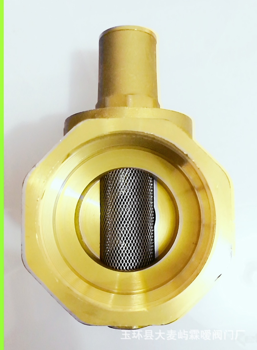 霖嗳阀门 全铜黄铜家用自来水带过滤减压阀 热水净水器设备稳压阀