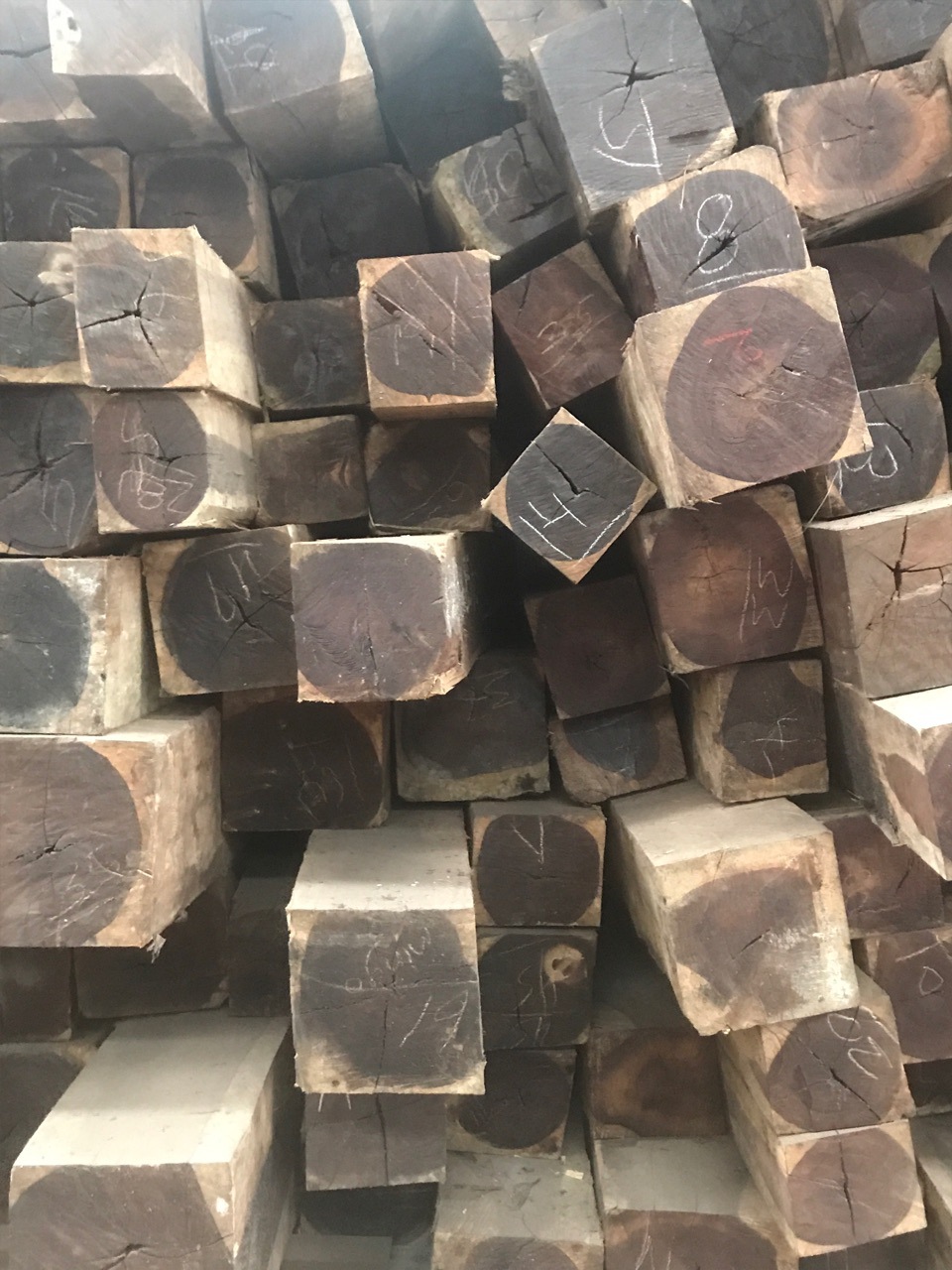 南美黑紫檀木 原木 紫檀木板材 胜鼎木业