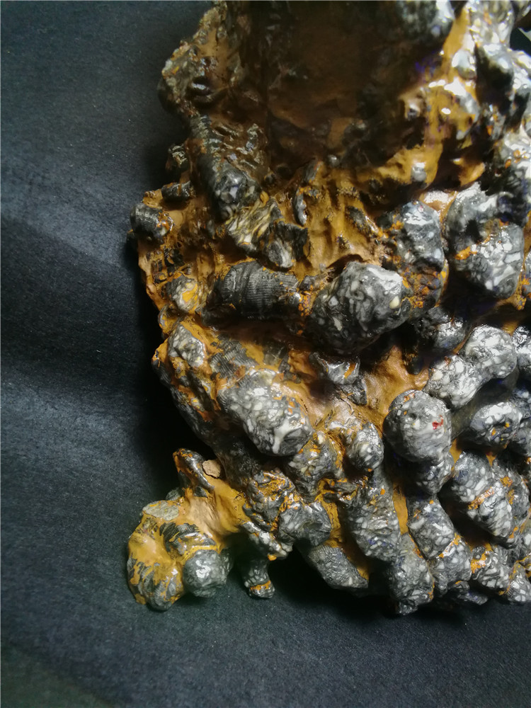 环节动物玉化石海豚,摆件,奇石