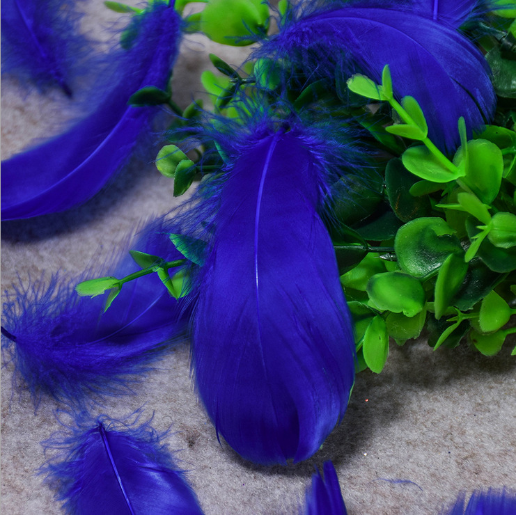 厂家直批 diy羽毛彩色羽毛弯弯羽毛鹅毛饰品配件手工羽毛