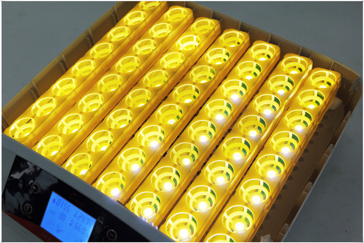 56s枚全自动一键照蛋孵化机 家用鸡蛋孵化器 小鸡孵化设备箱