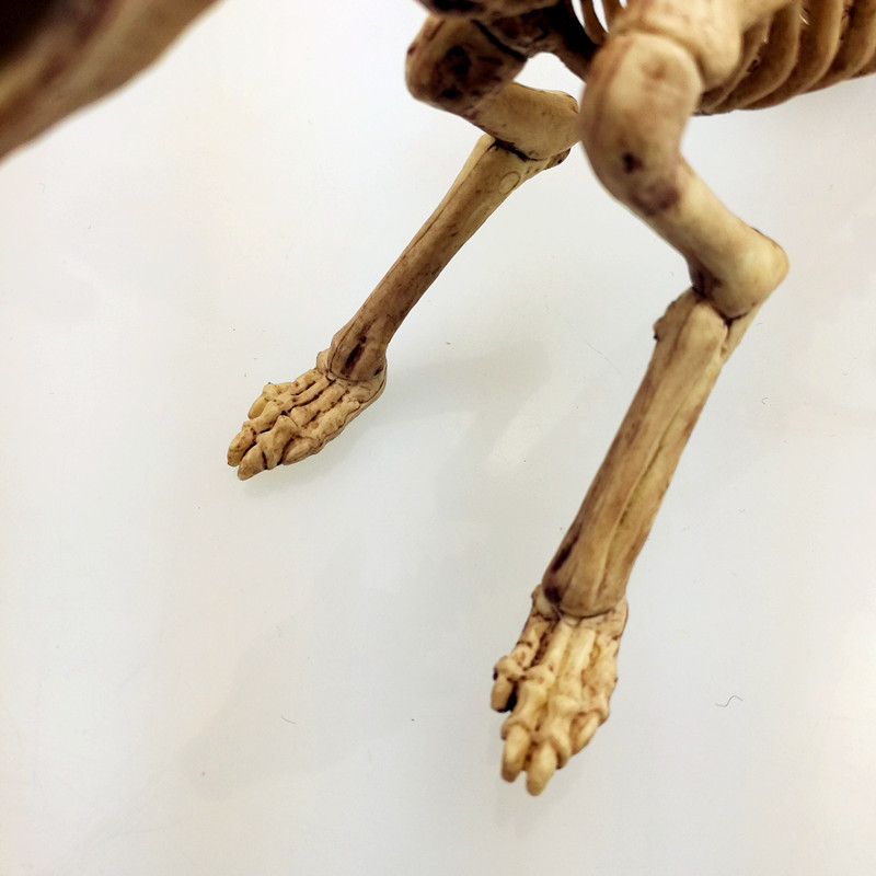 万圣节新款老鼠骨架 恶搞整人逼真万圣节骨架道具 万圣节老鼠骨架