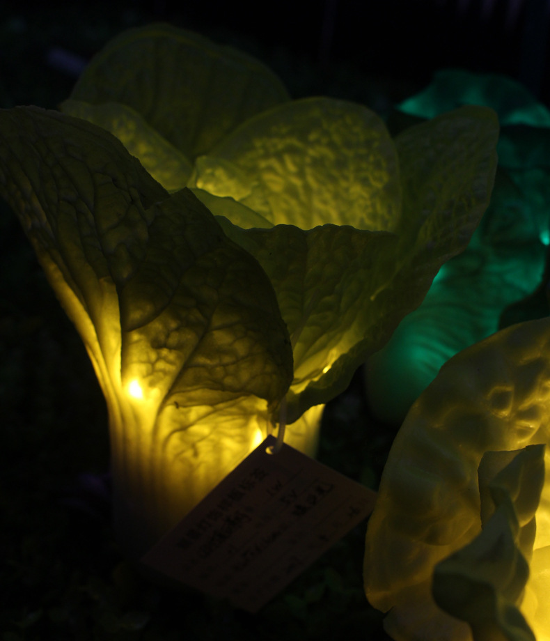 led户外仿真植物装饰灯 草坪庭院白菜灯 仿真大白菜 景观灯花雕