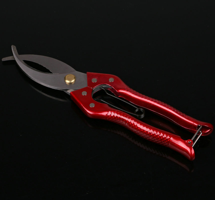 批发酒红铁柄环剥剪环割剪 不锈钢果树环割剪刀 割树皮剪刀