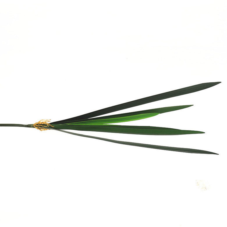 大花蕙兰叶 仿真叶 兰花叶 仿真植物绿植 仿真植物剑叶大中小叶子