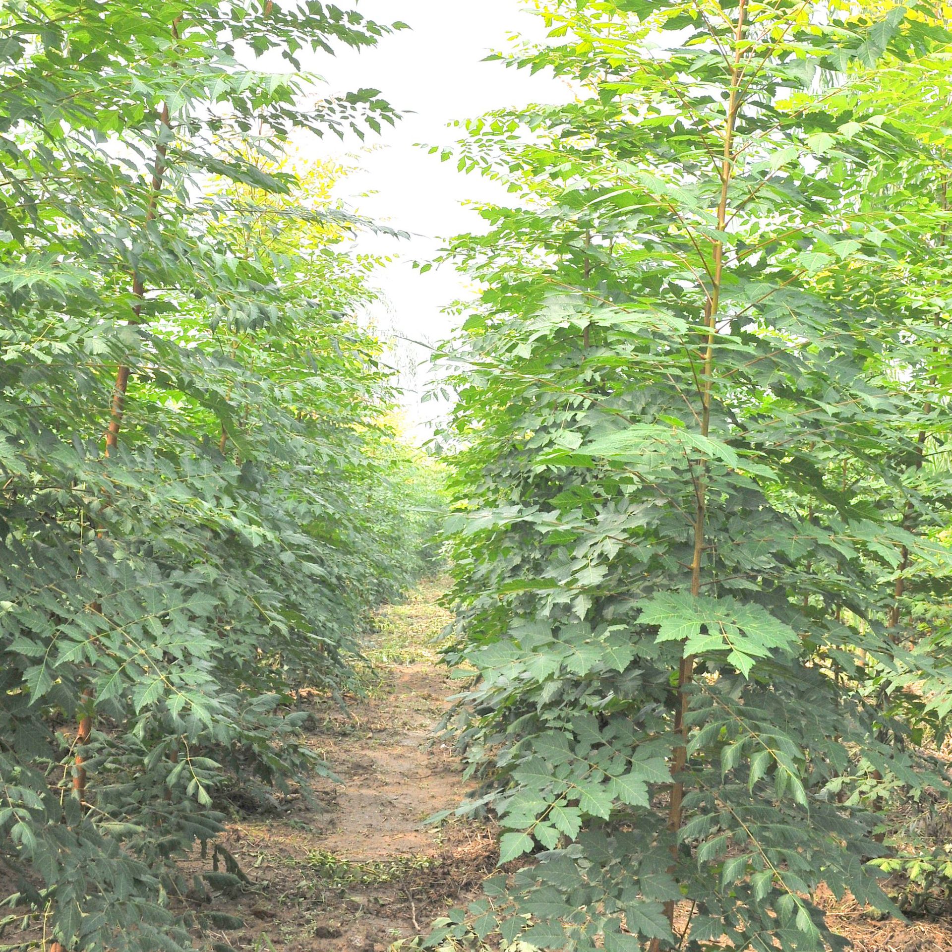 您好,欢迎来到保路通-专业的公路养护和设备的网站!