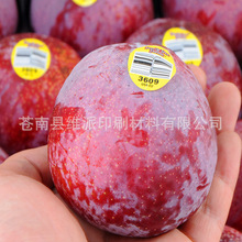 美国凤凰李水果标签 水果不干胶商标 标签定做 进口新鲜水果标签