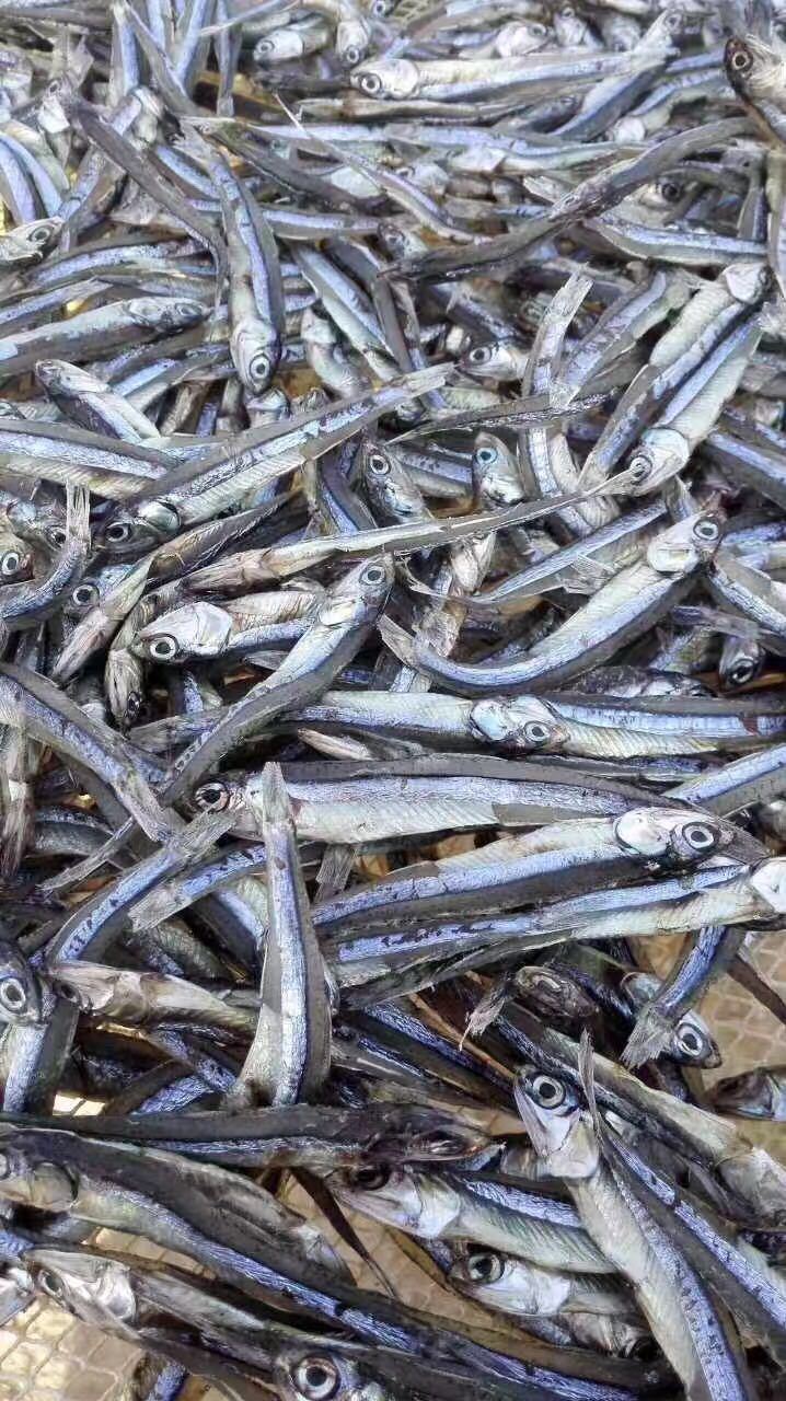 厂家大量批发直销天然海产品淡晒干公鱼广西北海特产一件代