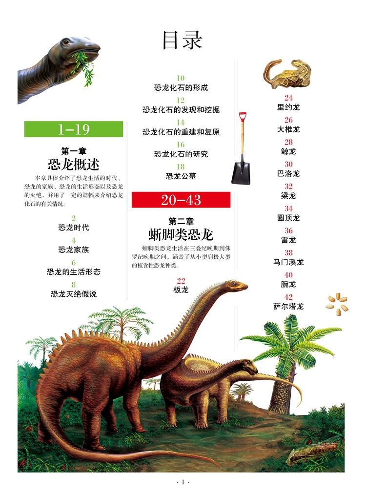 正版《权威恐龙大百科》 青少版 新阅读 批发 汕头大学出版社