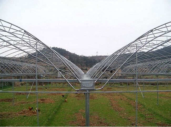 *大棚骨架配件】现货热镀锌26型压顶簧 厂家直销钢丝夹大棚配件