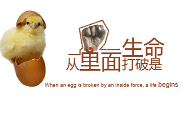 启发:     老李从这个故事中受到的启发,我们要克服内在思想的桎梏