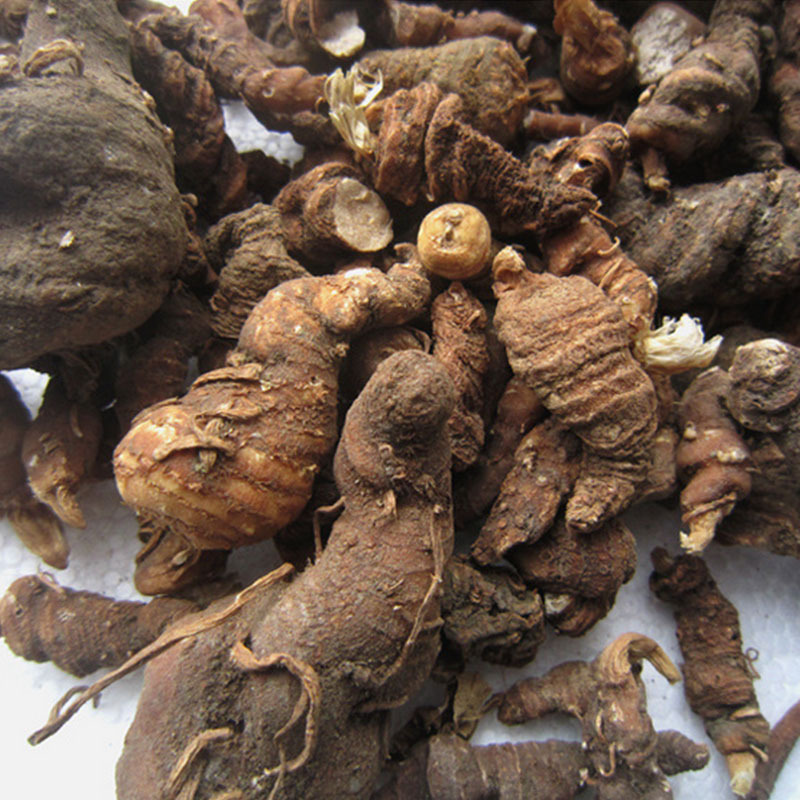 中药材供应重楼七叶一枝花原产地批发直销