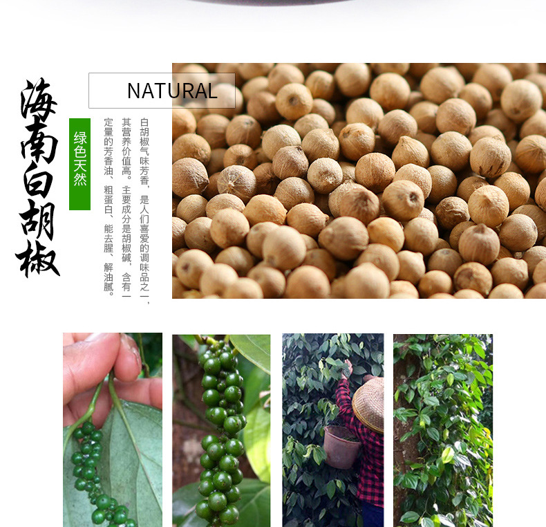 本店胡椒是海南白胡椒粒,胡椒盛产原产地海南文昌发货,本人是文昌人.