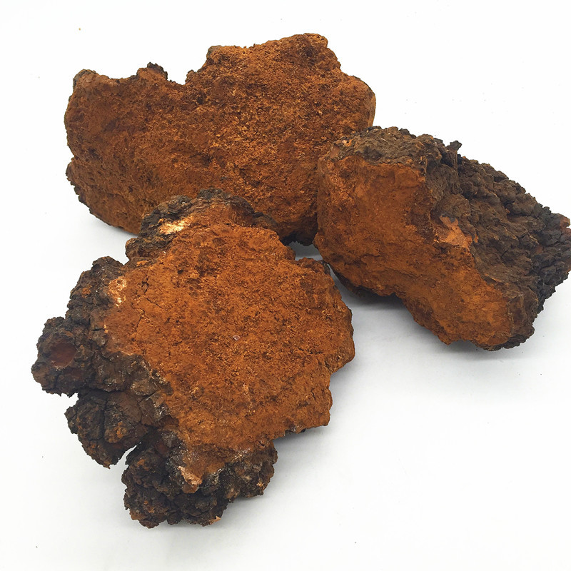 批发俄罗斯进口桦树茸桦树胆桦褐孔菌白桦茸桦树黄500克