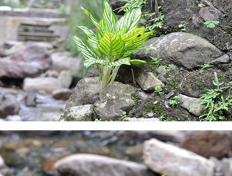 【苗苗花艺】仿真植物墙绿植配材室内绿化背景墙装饰孔雀东叶束