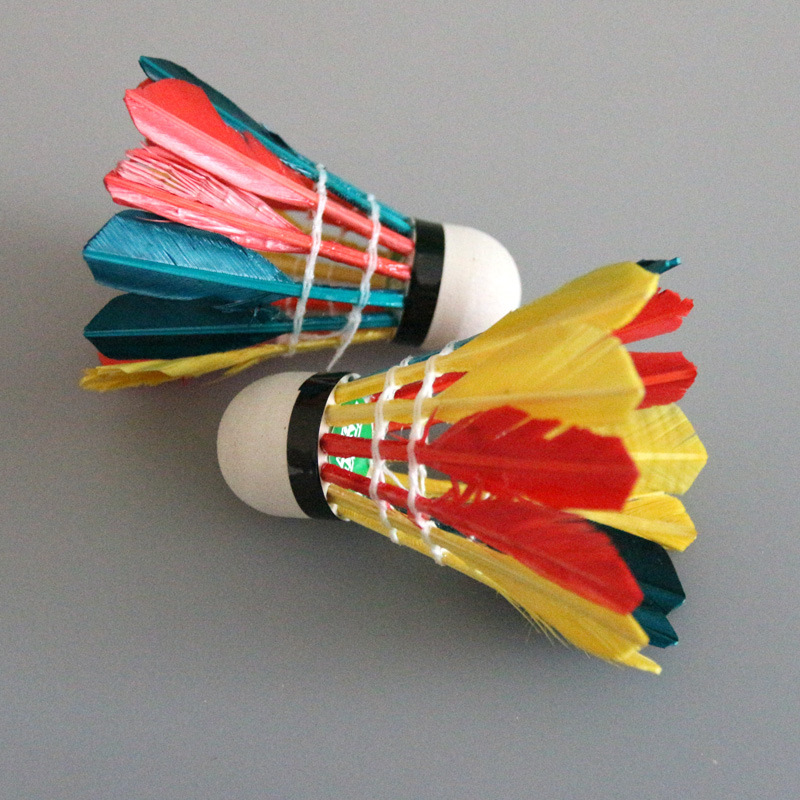 诚招全国经商艾力克彩色羽毛球厂家直销12只装耐打-阿里巴巴